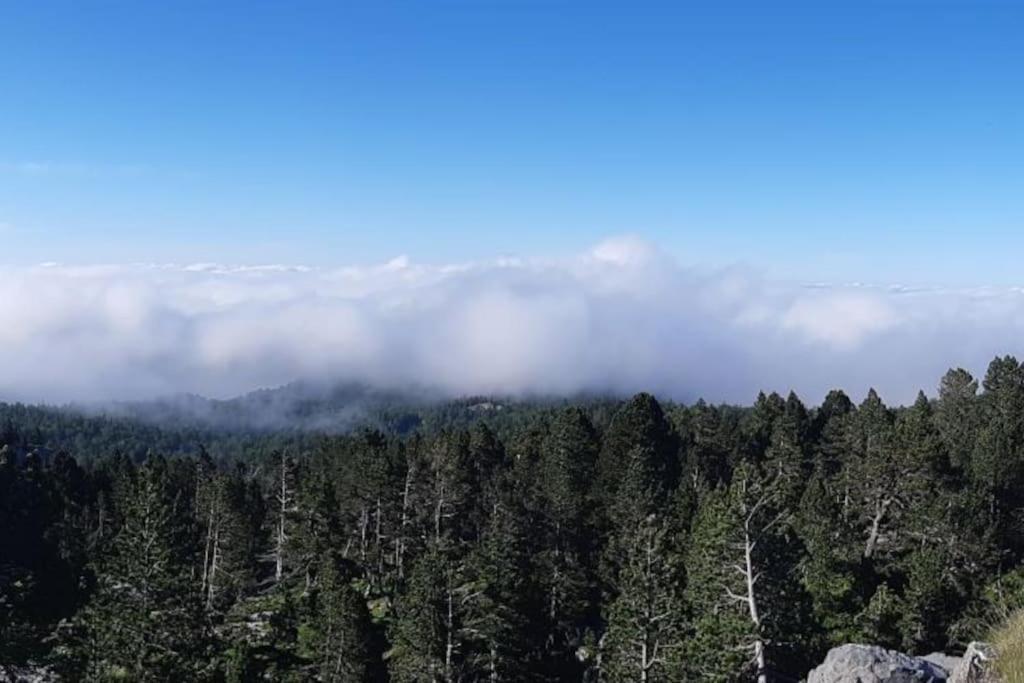 Studio La Pierre Saint Martin Refait Au Gout Du Jour Vue Sur La Vallee Exterior foto